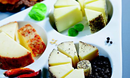 Stilingi sūrio patiekalai