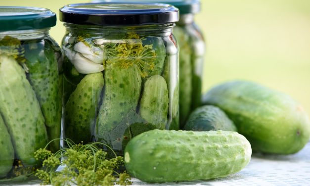 Probiotikų ir fermentuoto maisto nauda