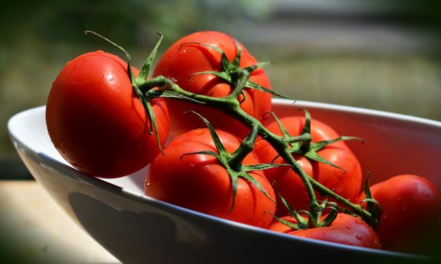 Pomidorai: daug skonio ir dar daugiau naudos