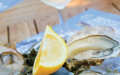 Umami maiste, vyne ir derinyje