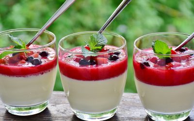 Kefyro panna cotta su uogomis