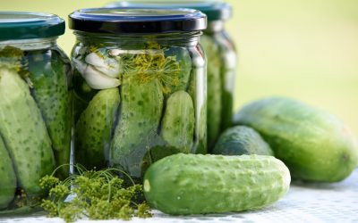 Probiotikų ir fermentuoto maisto nauda
