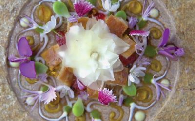 Gastronominės emocijos