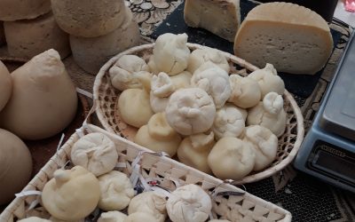 Sūrių festvalio poskonis