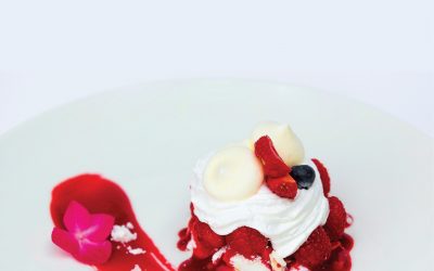 „Pavlova“