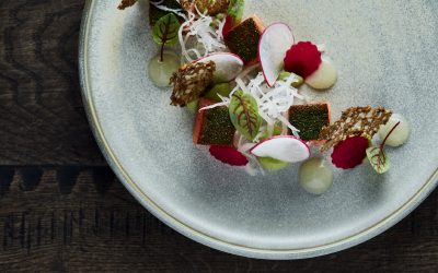 Lašišos gravlax ir avokadų kremas