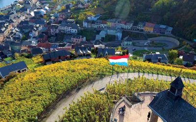 Prestižiniame vyno čempionate Concours Mondial de Bruxelles nepabūgta ribojimų ir pirmą kartą sulaukta teisėjos iš Lietuvos
