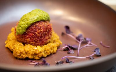 Burokėlių falafelių triufeliai su veganisko faršo rizotu
