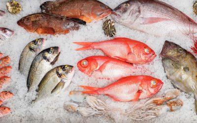 „Bluefish“ ištikimų pirkėjų ratas auga, pripažinimu tapo ir Japonijos ambasados dėmesys